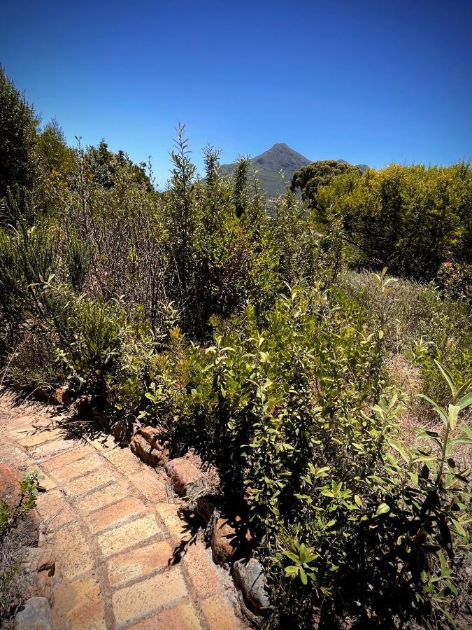 Windrose, Noordhoek, Sensationeller Meerblick Cape Town Exterior photo