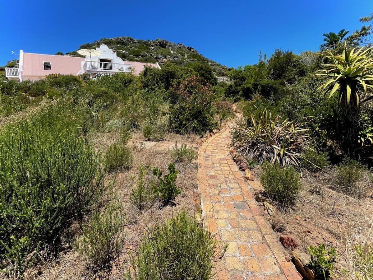 Windrose, Noordhoek, Sensationeller Meerblick Cape Town Exterior photo